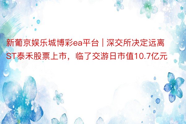 新葡京娱乐城博彩ea平台 | 深交所决定远离ST泰禾股票上市，临了交游日市值10.7亿元