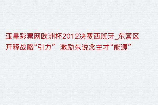 亚星彩票网欧洲杯2012决赛西班牙_东营区开释战略“引力” 激励东说念主才“能源”